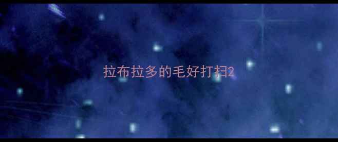图片 拉布拉多的毛好打扫2