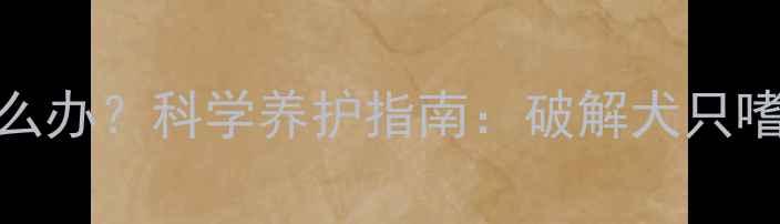 图片 拉布拉多睡觉多怎么办？科学养护指南：破解犬只嗜睡难题的五大关键