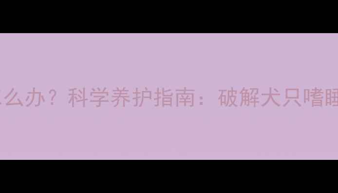 图片 拉布拉多睡觉多怎么办？科学养护指南：破解犬只嗜睡难题的五大关键1