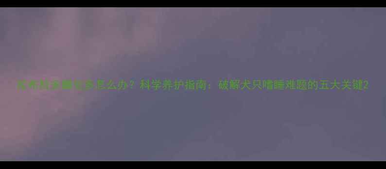 图片 拉布拉多睡觉多怎么办？科学养护指南：破解犬只嗜睡难题的五大关键2