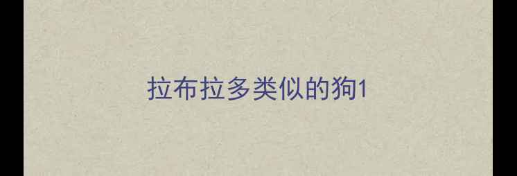 图片 拉布拉多类似的狗1