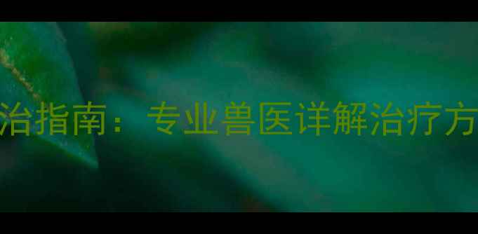 图片 拉布拉多耳螨快速根治指南：专业兽医详解治疗方法+预防复发全攻略1