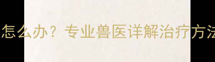 图片 拉布拉多肉泡怎么办？专业兽医详解治疗方法与预防措施2