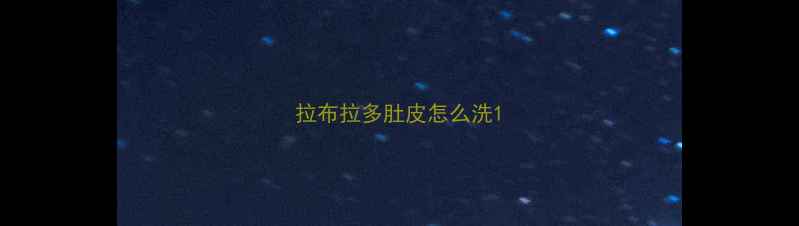 图片 拉布拉多肚皮怎么洗1