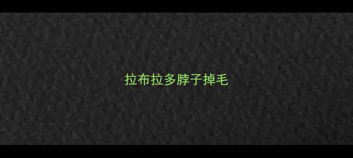图片 拉布拉多脖子掉毛