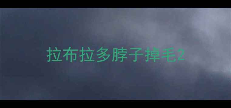图片 拉布拉多脖子掉毛2