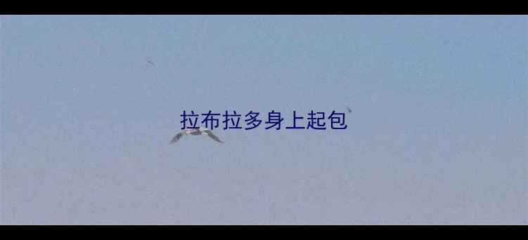 图片 拉布拉多身上起包