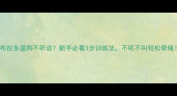 图片 拉布拉多遛狗不听话？新手必看3步训练法，不吼不叫轻松牵绳！1