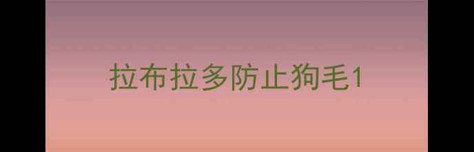 图片 拉布拉多防止狗毛1