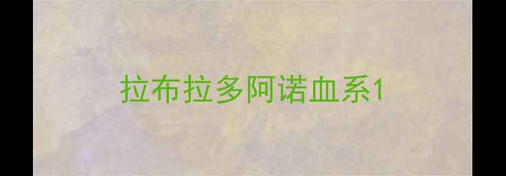 图片 拉布拉多阿诺血系1