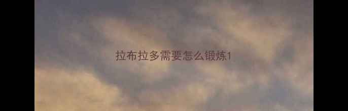 图片 拉布拉多需要怎么锻炼1