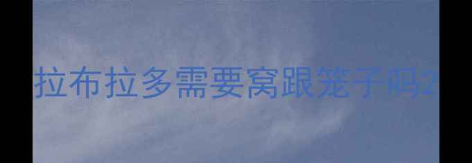 图片 拉布拉多需要窝跟笼子吗2