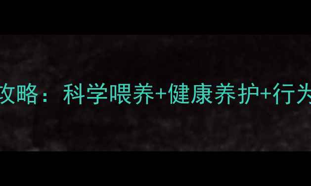 图片 拉布拉多饲养全攻略：科学喂养+健康养护+行为训练的黄金指南
