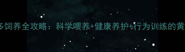 图片 拉布拉多饲养全攻略：科学喂养+健康养护+行为训练的黄金指南1