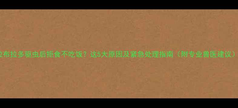 图片 拉布拉多驱虫后拒食不吃饭？这5大原因及紧急处理指南（附专业兽医建议）1