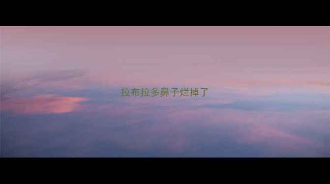 图片 拉布拉多鼻子烂掉了