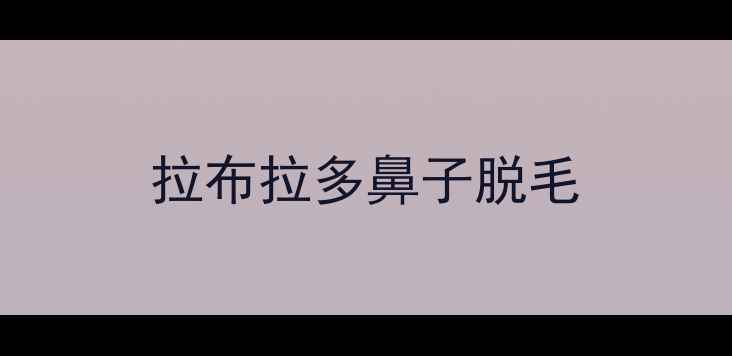 图片 拉布拉多鼻子脱毛