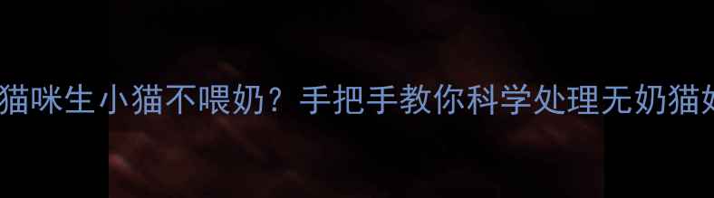 图片 新手必看！猫咪生小猫不喂奶？手把手教你科学处理无奶猫妈的5大妙招