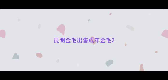 图片 昆明金毛出售成年金毛2