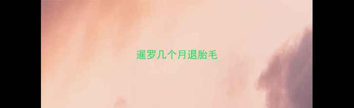 图片 暹罗几个月退胎毛