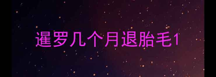 图片 暹罗几个月退胎毛1