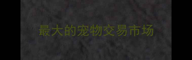 图片 最大的宠物交易市场
