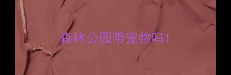 图片 森林公园带宠物吗1
