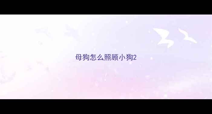 图片 母狗怎么照顾小狗2