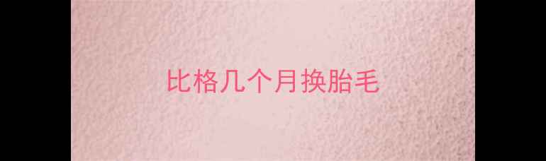 图片 比格几个月换胎毛