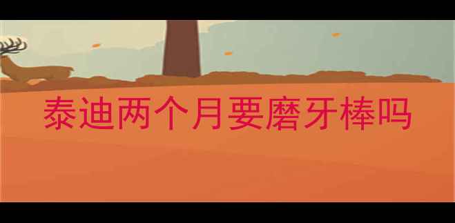 图片 泰迪两个月要磨牙棒吗