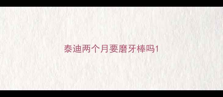 图片 泰迪两个月要磨牙棒吗1