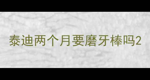 图片 泰迪两个月要磨牙棒吗2