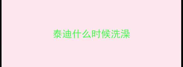 图片 泰迪什么时候洗澡
