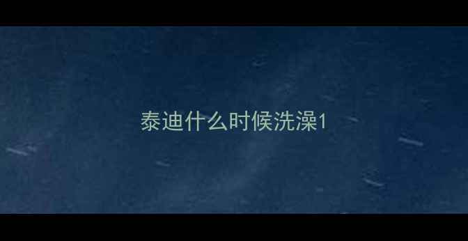 图片 泰迪什么时候洗澡1