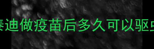 图片 泰迪做疫苗后多久可以驱虫