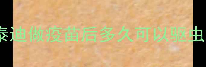 图片 泰迪做疫苗后多久可以驱虫2