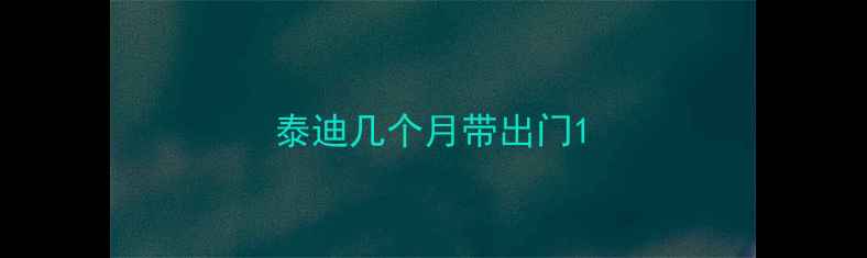 图片 泰迪几个月带出门1