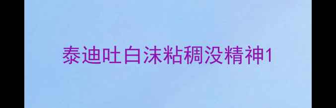 图片 泰迪吐白沫粘稠没精神1