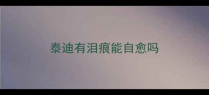 图片 泰迪有泪痕能自愈吗