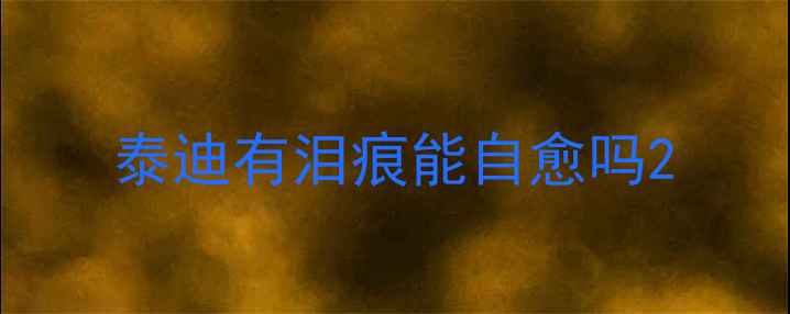 图片 泰迪有泪痕能自愈吗2