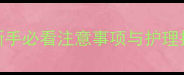 图片 泰迪犬胎毛剃头全攻略：新手必看注意事项与护理技巧（附剃前剃后对比图）
