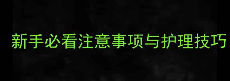 图片 泰迪犬胎毛剃头全攻略：新手必看注意事项与护理技巧（附剃前剃后对比图）1
