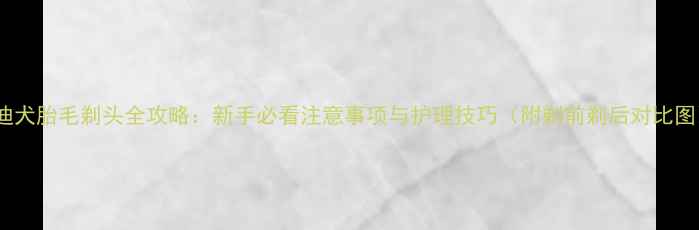 图片 泰迪犬胎毛剃头全攻略：新手必看注意事项与护理技巧（附剃前剃后对比图）2