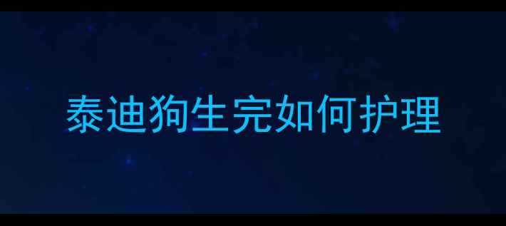 图片 泰迪狗生完如何护理