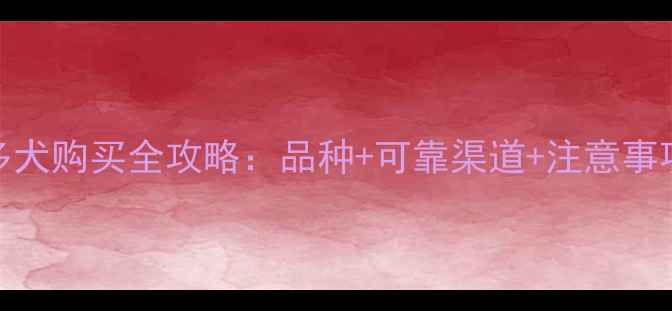 图片 海口拉布拉多犬购买全攻略：品种+可靠渠道+注意事项（最新版）