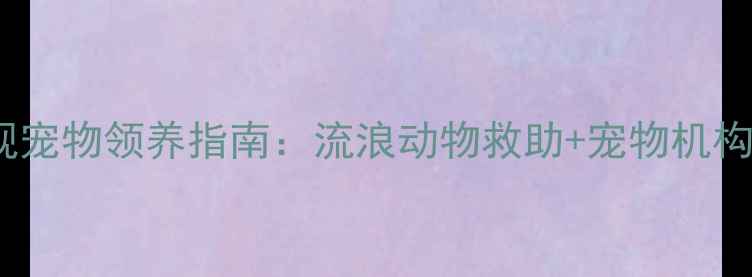 图片 海口正规宠物领养指南：流浪动物救助+宠物机构全攻略1