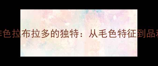 图片 深咖啡色拉布拉多的独特：从毛色特征到品种价值