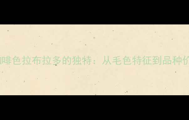 图片 深咖啡色拉布拉多的独特：从毛色特征到品种价值1