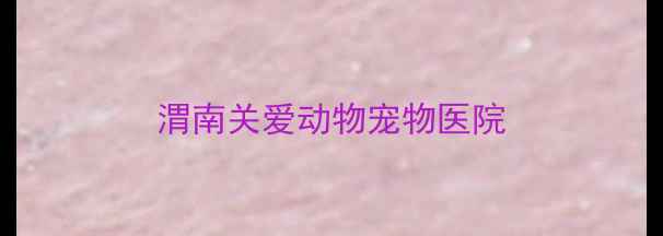 图片 渭南关爱动物宠物医院