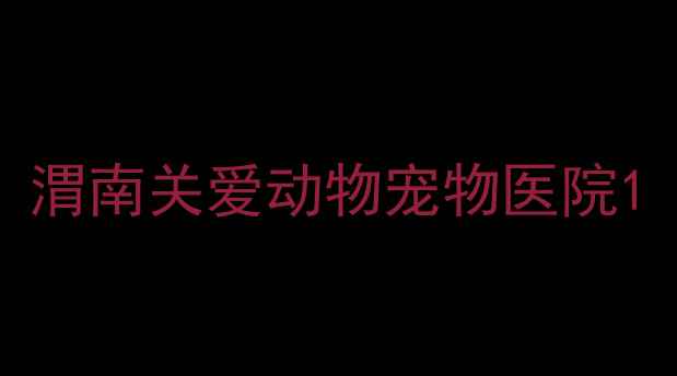 图片 渭南关爱动物宠物医院1